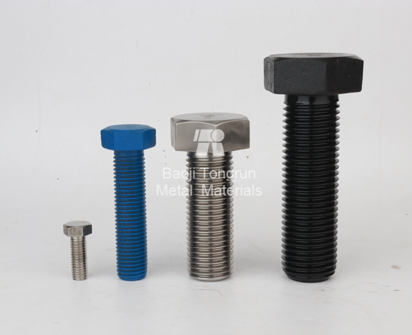 Titanium standard parts